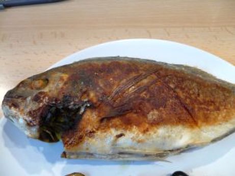Dorade gebraten