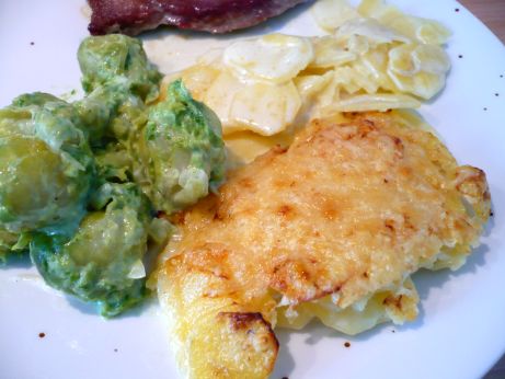 Kartoffel Gratin